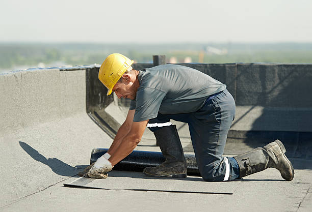 Best DIY Insulation Kits and Guidance in Stony Prairie, OH